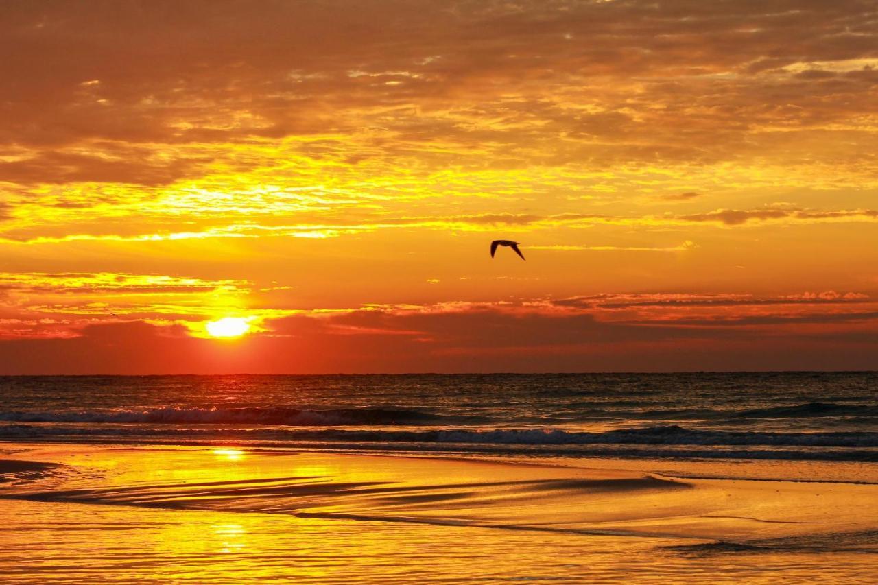 Moon Tide Cottage Pensacola Beach Dış mekan fotoğraf